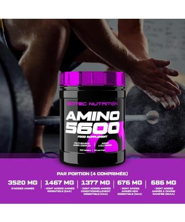 Scitec Nutrition Amino 5600 Comprim s Acides Amin s Essentiels & BCAA avec L-Glutamine Favorise la R cup ration et la Croissance Musculaire Formule Prot ine de Lactos rum & Cas inate 200 Comprim s 200 unit (Lot de 1) - Buy Online on GoSupps.com