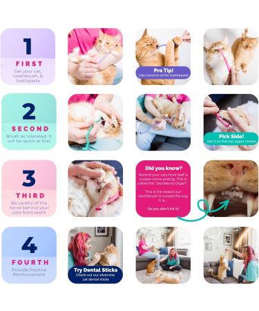 Ryercat Double-Sided Cat Toothbrush - Flamingo Pink | Best Cat & Kitten Dental Care Accessories - Buy Online on GoSupps.com