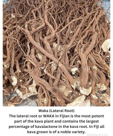 100% Noble Kava Root Powder 1/2 Pound (8 Oz) Helps Body Relax to Improve Sleep - Buy Online on GoSupps.com