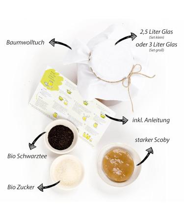 Helden Mazilz Organic Kombucha SCOBY | 100% Natural Tea Mushroom Kit | Makes Up to 6 Liters | Sustainable Plastic-Free Packaging | Perfect Gift Set - Buy Online on GoSupps.com