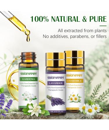 Migcaput 12x5ml Essential Oils Set - 100% Natural Aroma Diffuser Oils for Jasmine Lavender Geranium | Ideal for Diffusers Humidifiers & Massage - Buy Online on GoSupps.com