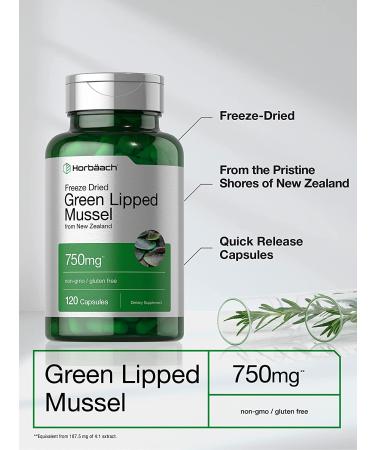 Premium Green Lipped Mussel 750mg | 120 Capsules | New Zealand Sourced | Freeze Dried | Non-GMO & Gluten Free - Buy Online on GoSupps.com