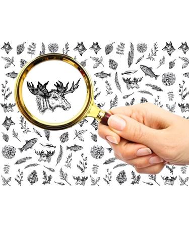FLONZNAIL Nail Stickers Decal Transfers (5 Sheets) Vintage Engraving Illustration