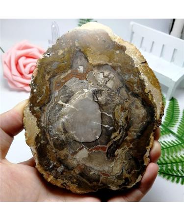 Natural Stones and Minerals Crystal Woodstone for Home Living Room Office Desktop Decoration JZIGTDEM (Color : As Shown Size : 60-80g) 60-80g As Shown - Buy Online on GoSupps.com