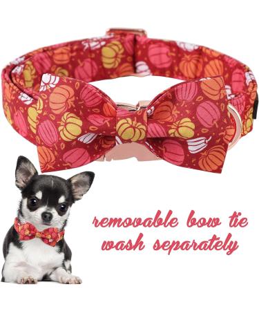 Buy Unique Paws Halloween Dog Collar - Comfortable Cotton Pumpkin Design XS for Small Dogs (Neck 8-12in) - Perfect for Young Girls! - Buy Online on GoSupps.com