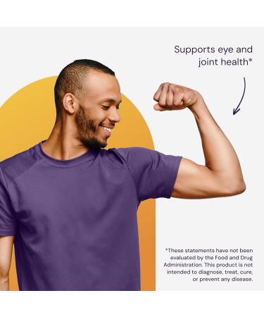 Healthy Origins Curcumin Phytosome (Featuring Meriva SF) 500 mg 60 Veggie Caps 60 count (Pack of 1) - Buy Online on GoSupps.com