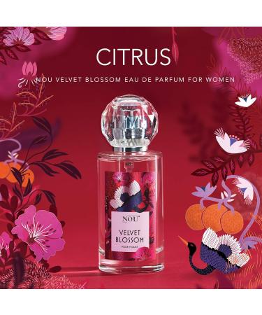 Citrus Perfume Fresh Perfume with Exotic Spicy Notes Natural Perfume for Women Infused with Essential Oils and Earthy Notes NOU Velvet Blossom Perfume for Women 1.7 Fl Oz EDP Citrus Perfume Velvet Blossom - Buy Online on GoSupps.com