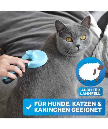 Bluepet Self-Cleaning Fiddling Brush for Cats & Dogs - Long-Haired Fur Care Tool for British Shorthairs - Best Plucking Brush for Pet Grooming - Buy Online on GoSupps.com