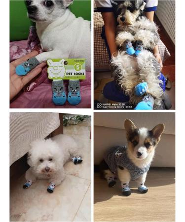 Heiqlay Anti-Slip Socks for Dogs & Cats | Paw Protection & Traction | Silicone Gel Grip for Indoor Safety | Shop Now for International Shipping! - Buy Online on GoSupps.com