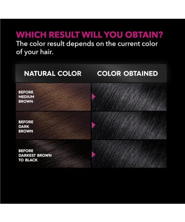 Garnier Olia Ammonia-Free Hair Color in Platinum Black - Permanent Dye (1 Count) | Oil-Rich Formula | Packaging May Vary - Buy Online on GoSupps.com