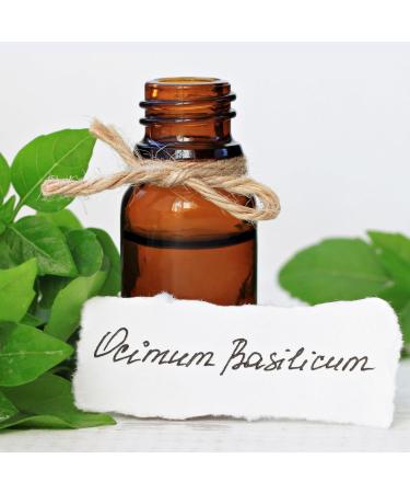 Organic Essential Oils Set for Hair Repair - Basil, Rosemary, Clary Sage | 100% Pure Therapeutic Grade | Non-GMO | 25ml Pack - Buy Online on GoSupps.com