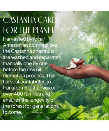 natura - Ekos Castanha Renourishing Creamy Shower Gel - Deep Hydration - Omega 6 9 - Light Texture - Body Wash - Vegan Skin Care - Brazilian Beauty Secrets - Self Care & Body Care - 6.5 fl oz (195ml) - Buy Online on GoSupps.com