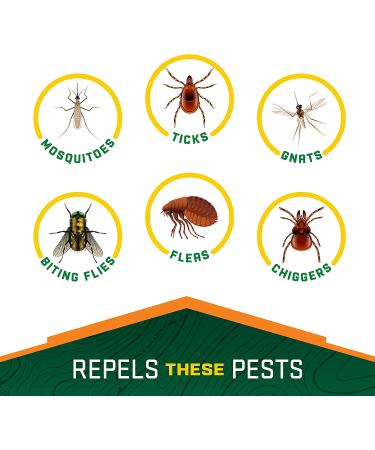 Repel 100 Insect Repellent Pump Spray 4oz - 10-Hour Protection | 1 Count - Buy Online on GoSupps.com