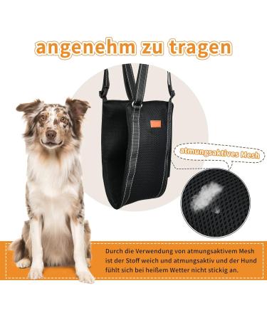 Breathable Adjustable Dog Walking Aid | Back Support for Small to Large Dogs | Rehabilitation Carrier Strap - Buy Online on GoSupps.com