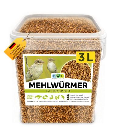 Flourworms dried premium insect snack birds fish turtles rodents hedgehogs reptiles bird feed wild birds all year round.