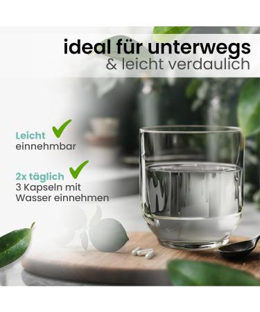 Zyklositol Capsules | Myo & D-Chiro Inositol with Folic Acid | PCOS Support Insulin Resistance Vegan Made in Germany - Shop Now! - Buy Online on GoSupps.com