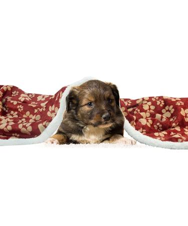 HappyCare Printed Dog Paw Flannel Reverse to Sherpa Throw Blanket - Red/Gold Paw Design - Buy Online on GoSupps.com