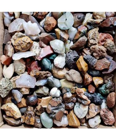 Natural Crystal Rough 100g Alxa Gobi Natural Agate Gobi Stone Fish Tank Stone Strange Stone Collection Stone Family Fish Tank Decoration Stone Random size 100g - Buy Online on GoSupps.com