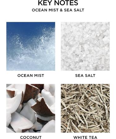 Nest Fragrances Ocean Mist & Sea Salt Liquid Hand Soap - 10 Fl Oz - Buy Online on GoSupps.com