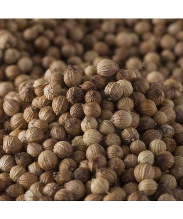Buy Bremer Gew rzhandel Whole Coriander Seeds - 750g for Cooking & Baking | International Shipping - Buy Online on GoSupps.com