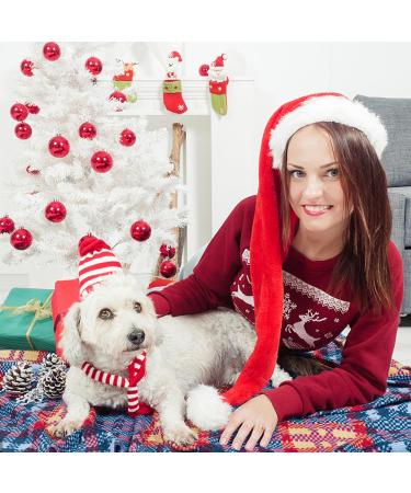 Nizirioo Plush Dog Toys - Birthday Cake & Bone Toys for Puppies | Soft & Safe Dog Birthday Gifts - Buy Online on GoSupps.com