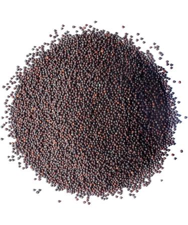 Organic Broccoli Seeds for Sprouting 1lb - Non-GMO Verified, Vegan & Kosher. High in Sulforaphane, Vitamin C & A. Perfect for Sprouts & Microgreens. High Germination - Buy Online on GoSupps.com