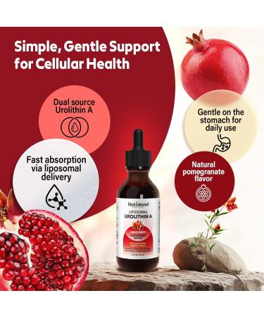 Liposomal Urolithin A Liquid Drops Urolithin A Supplement with Pomegranate Extract for Healthy Aging Antioxidant & Mitochondrial Support Non-GMO 2 Fl Oz - Buy Online on GoSupps.com