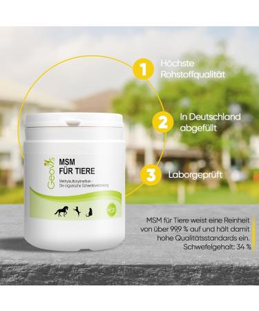 Geovis MSM Powder for Animals 500g - Organic Sulfur for Horses Dogs & Cats - 99.9% Pure Methyl Sulfonylmethane for Joints Muscles & Fur - Buy Online on GoSupps.com