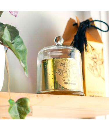 Luxury Lily Valley Scented Candles - 21 OZ Soy Wax Glass Dome - Perfect Gift for Women Valentine's Christmas & Mom - Aromatherapy Relaxation Candle - Buy Online on GoSupps.com