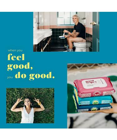 Goodwipes Flushable & Biodegradable Wipes with Botanicals | 180 Count (3 Packs) | Shea-Coco with Aloe | At-Home Use Safe | Septic-Sewer Safe - Buy Online on GoSupps.com