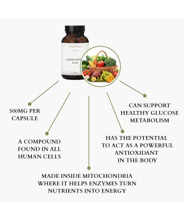 Alpha-Lipoic Acid 500mg - Non-GMO - Boost Energy & Mitochondria Support - 120 Servings (4 Months Supply) - International Shipping Available - Buy Online on GoSupps.com