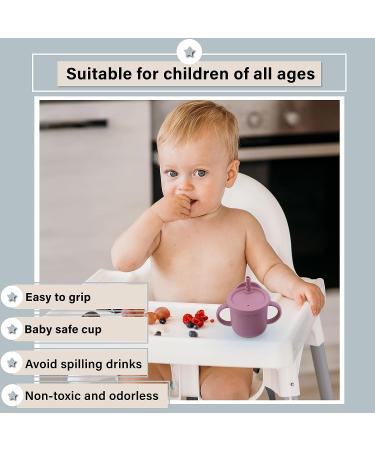 RQ Brothers Silicone Toddler Sippy Cup - BPA Free Training Cup with Straw and Handle for 6-18 months - 8.4oz Baby Water Bottle in Dark Pink - Buy Online on GoSupps.com