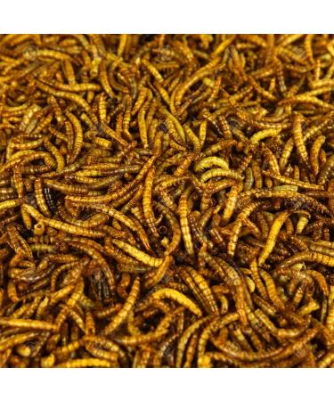 Superpet Dried Mealworms For Birds (5kg) 5 kg (Pack of 1) - Buy Online on GoSupps.com