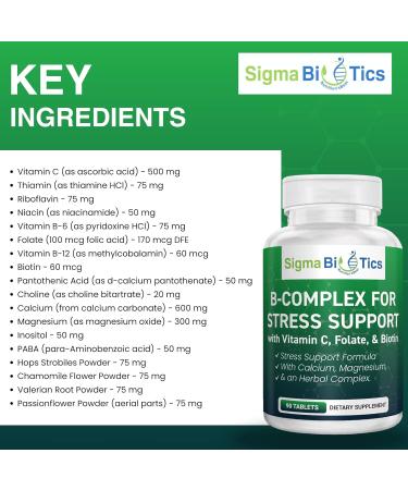 SigmaBiotics B Complex for Stress Support - Energy Nerve & Mood Support with Vitamins Minerals & Botanicals - Non-GMO 90 Tablets for Relaxation - Buy Online on GoSupps.com
