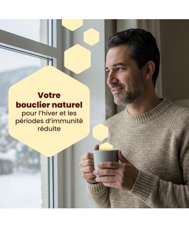 Propolis Capsules 12% Flavonoids | Reinforced Formula With Reishi Echinacea Agaricus | Enriched with Copper Iron Vitamin C and D | 40 Api-Nature Capsules - Buy Online on GoSupps.com