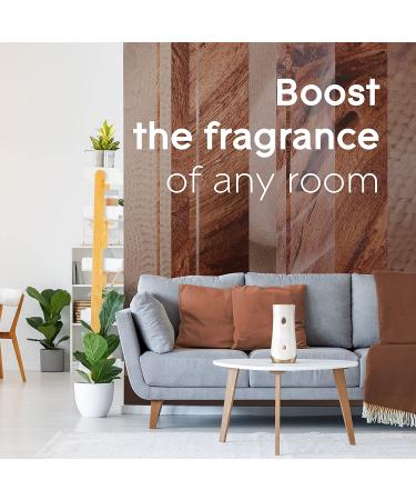 Glade Cashmere Woods Automatic Spray Refill & Holder Kit - 6.2 Oz - Buy Online on GoSupps.com