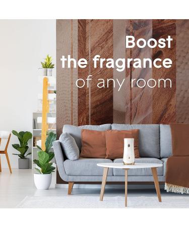 Glade Automatic Spray Refill, Air Freshener for Home and Bathroom, Cashmere Woods, 6.2 Oz, 2 Count - Buy Online on GoSupps.com