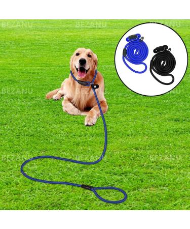 Nylon Dog Slip Lead 2 Pcs Nylon Adjustable Dog Loop Training Leash Heavy Duty Training Lead for Small and Medium Dog Outdoor Training (Blue Black) - Buy Online on GoSupps.com
