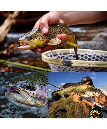 MAXIMUMCATCH Fly Leader 5 Pack - Transparent Tapered Leaders 7.5/9/12/15ft 0X-7X for Fly Fishing - Buy Online on GoSupps.com