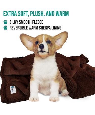 PetAmi Puppy Dog Blanket Small Indoor Cat Kitten | Fleece Sherpa Throw | Soft Plush Fluffy Lightweight Warm Cover 29x40 Inch - Brown/Brown Sherpa - Buy Online on GoSupps.com
