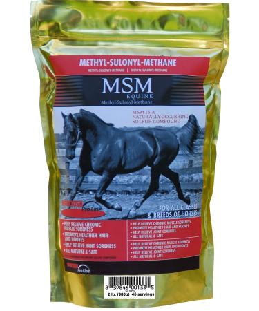 MSM (Methyl-Sulfonyl-Methane) Powder 900.0 g (Pack of 1)