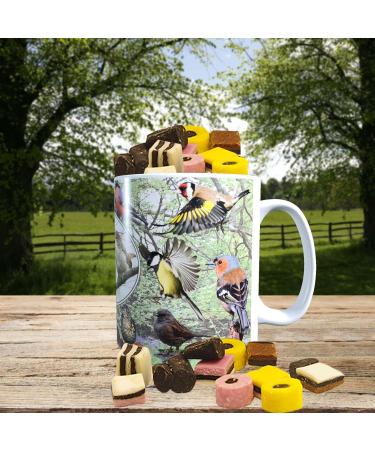 British Garden Birds Mug with Choice of Sweets Gift - Buy Online on GoSupps.com