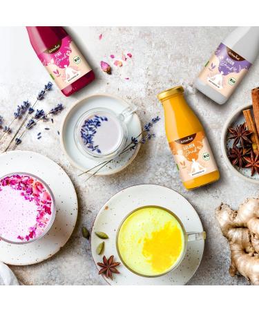 Organic Ayurveda Drinks Tasting Set | 6 Herbal Shots with Golden Pink & Moon Drink | Wellness Boost from Achterhof Ayurveda - Buy Online on GoSupps.com