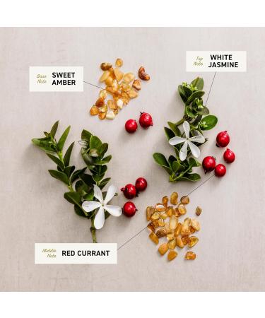 Cremo White Jasmine Amber Skin Moisturizing Body Wash for Women, Notes of White Jasmine, Red Currant, and Sweet Amber, 16 Fl Oz 16 Fl Oz (Pack of 1) White Jasmine Amber - Buy Online on GoSupps.com