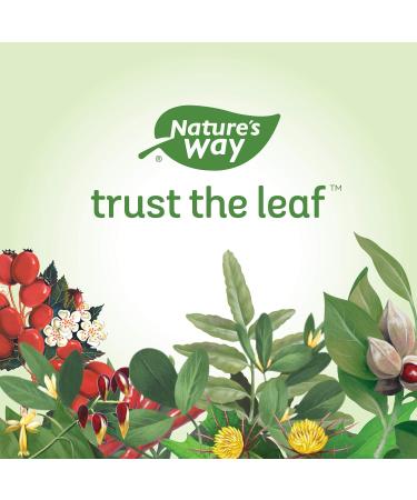 Nature's Way Uva Ursi Leaves Health Supplement 100 Count - Buy Online on GoSupps.com