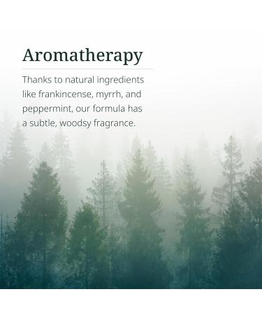 Century Systems H.E.A.L. QUICK Lotion - 8.2 oz - Includes 14 Herbal Extracts 15 Plant Oils Vitamins A D & E + Biotin - Non-Greasy Long-Lasting Formula - Natural Fragrance - Buy Online on GoSupps.com