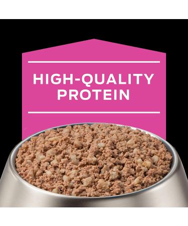 Purina Pro Plan Veterinary Diets UR Urinary Ox/St Canine Formula Wet Dog Food - 12 Pack - Buy Online on GoSupps.com