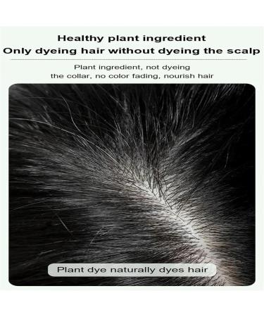  behound Pure Plant Extrait For Grey Hair Color Bubble Dye Plante Bubble Hair Dye Shampooing Essence v g tale Bubble Hair Dye Household Easy-to-wash Hair Washing Color Cream (Brown Black) - Buy Online on GoSupps.com