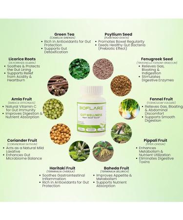 BIOFLARE Gut Wellness Women s Probiotics & Mens Probiotics for Gut Health High Potency Probiotic and Prebiotic for Women & Men with Digestive Enzymes 10 Billion CFU per 200MG 60 Vegan Capsules - Buy Online on GoSupps.com