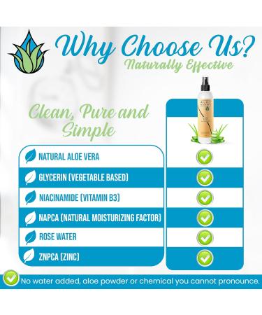 NaPCA Moisturizer Facial Mist 2X Value Refill. Sodium PCA in Aloe vera Spray. Hydrating Face Mist & Toner - Lightweight Feel - Refresh Sooth Restore - Dry Oily Sensitive Acne Prone Skin(500ml) - Buy Online on GoSupps.com